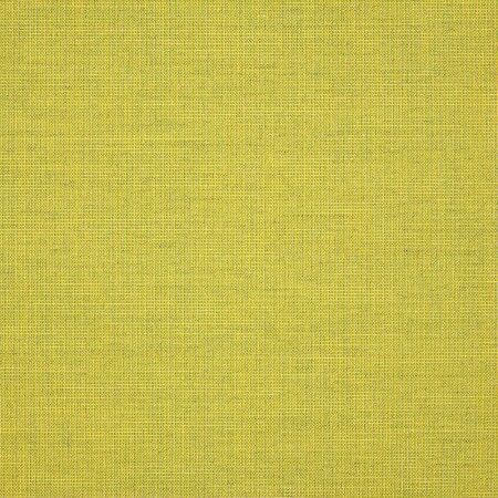 Cast Citrus Sunbrella