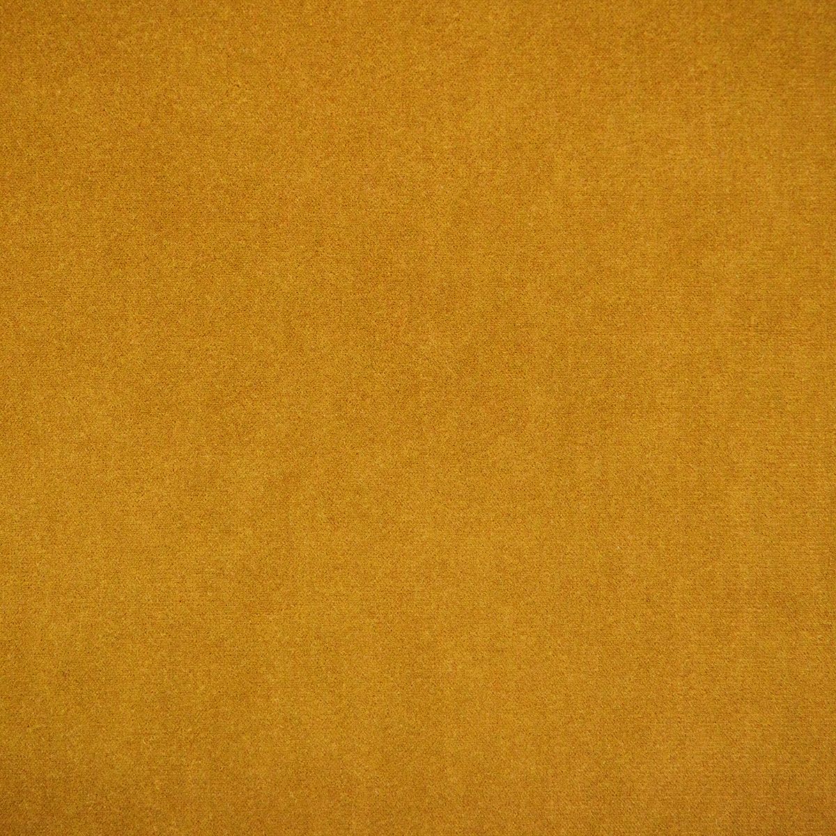 Terciopelo Winter Mustard 18