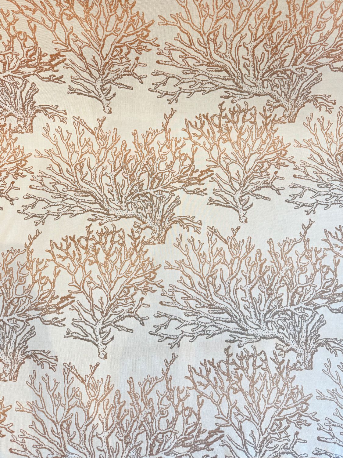 Caribbean Coral Sunbrella