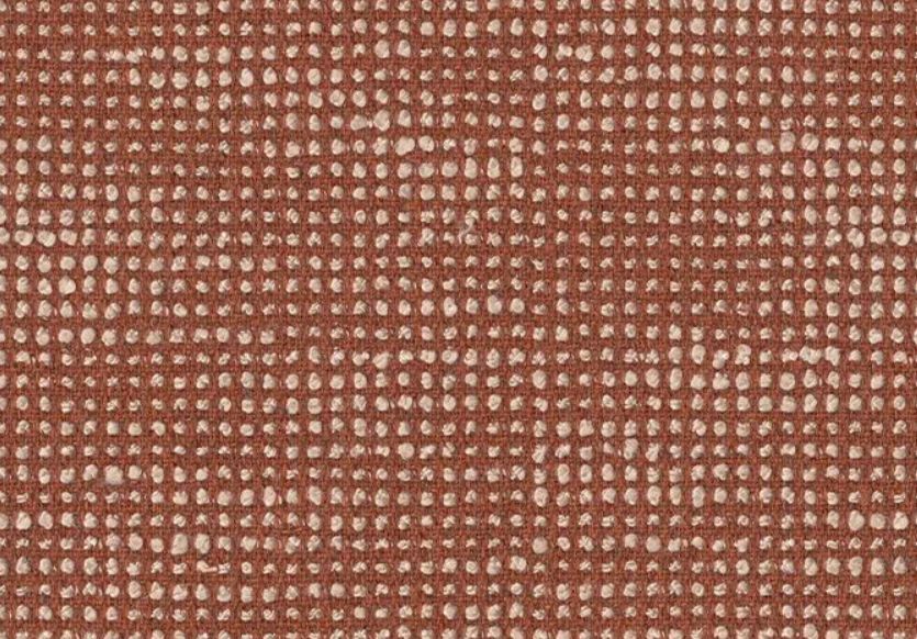 Slow Alezan Sunbrella