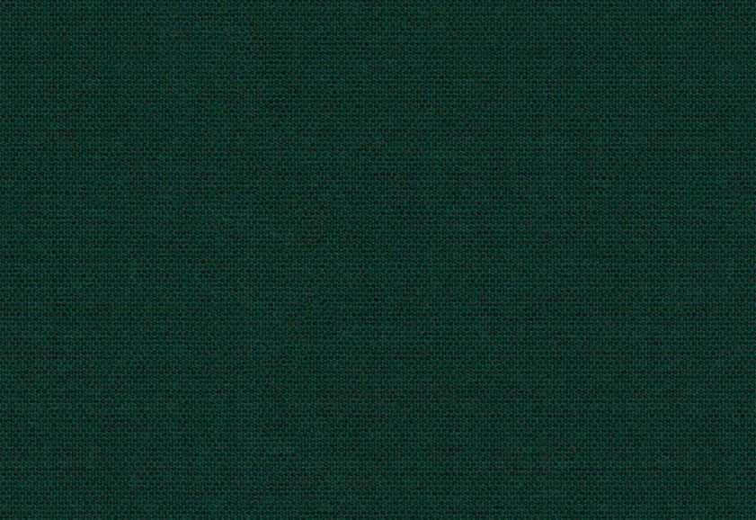 Solid Calathea Sunbrella