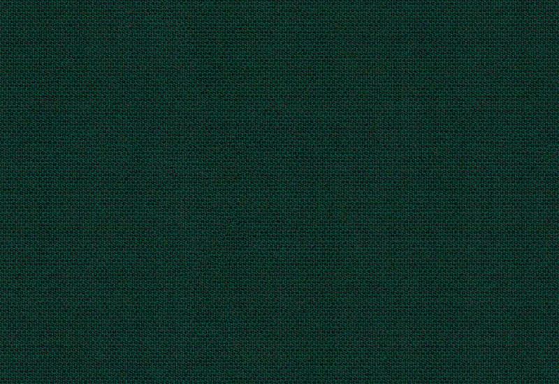 Solid Calathea Sunbrella