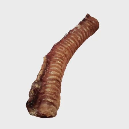 Trachée de boeuf