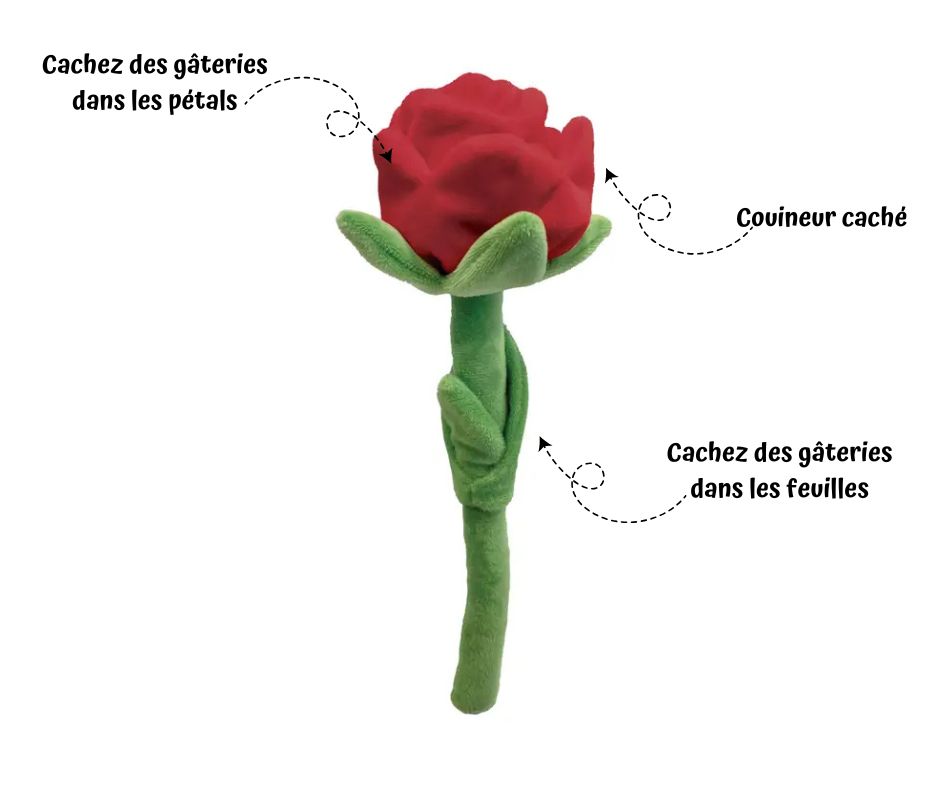 Rose - Cache Gâteries