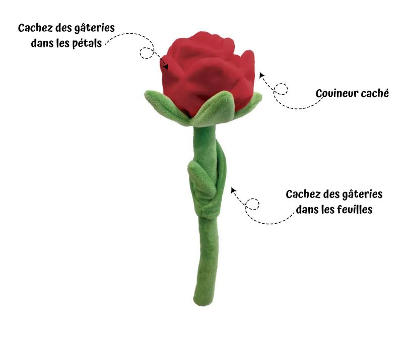Rose - Cache Gâteries