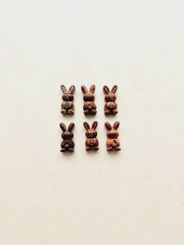 Lapin au Chocolat
