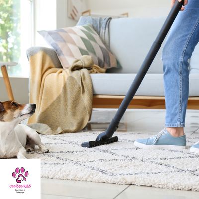 Cleaning