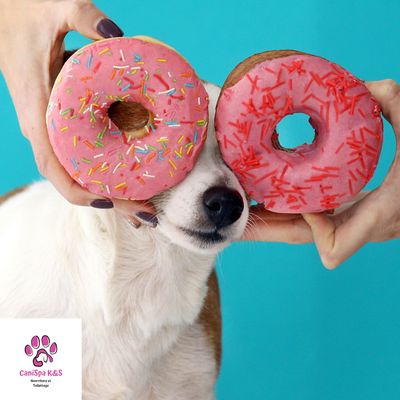 Doughnuts