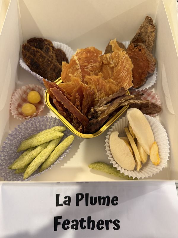 Planche de Jappe-Cuterie - La Plume