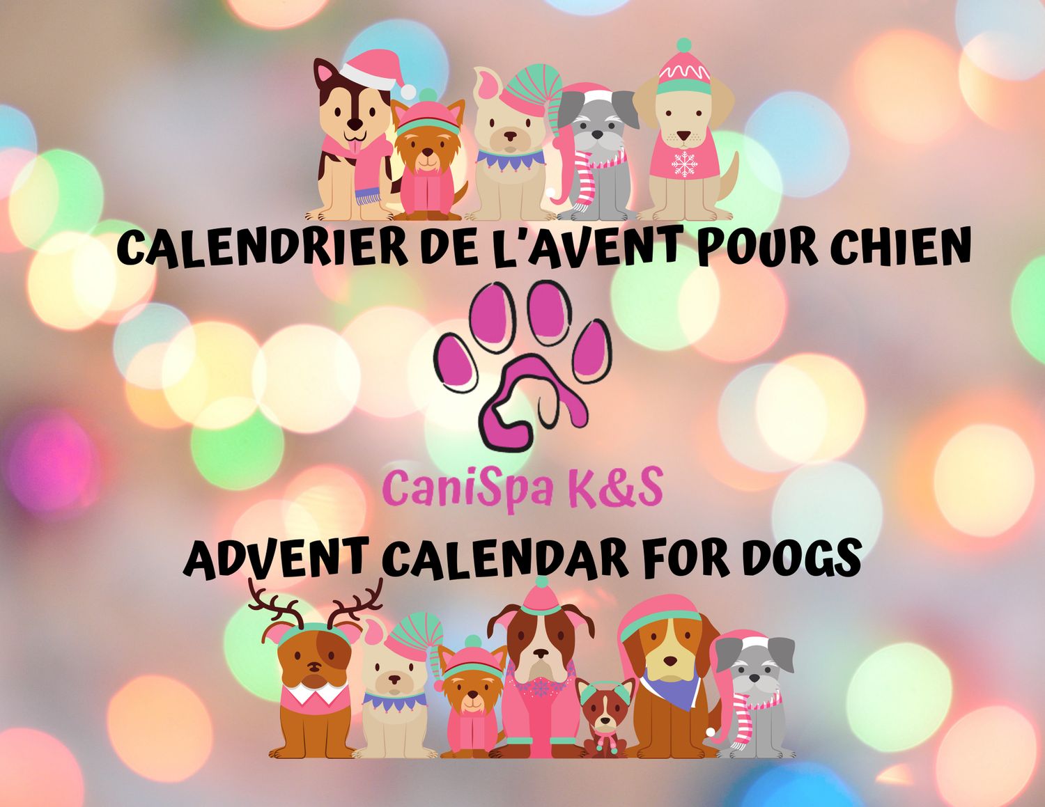 Calendrier de l&#39;Avent Canin 2025