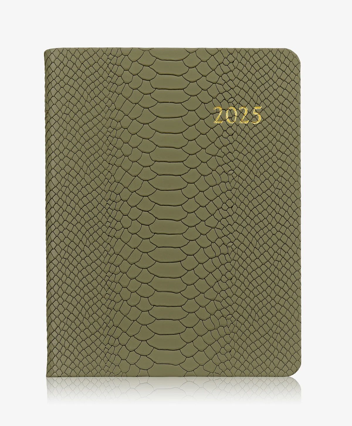 2025 Daily + Monthly Plan Book