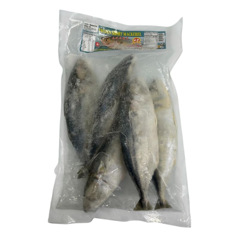 No.1 Frozen Mackerel Fish 800g