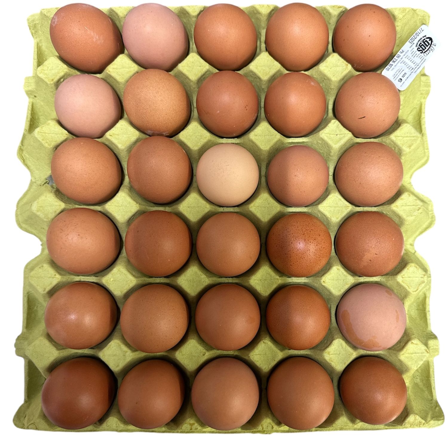 Eggs Size 6 (pc)