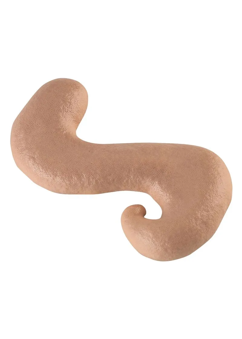 TIZO SHEERFOAM™ PARA CUERPO Y ROSTRO TINTADO SPF 30 TIZO 100G