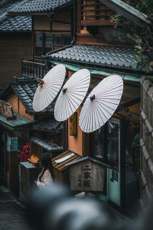 Japón con Tokio & Monte Fuji  | 08 de mayo -  15 mayo  2026