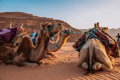 Dubái con Jordania