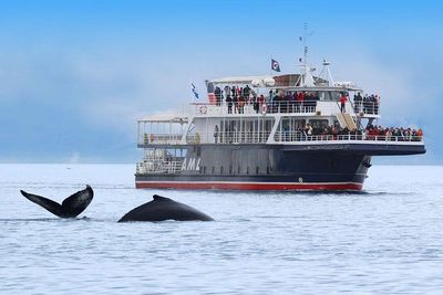 Canadá y Ballenas