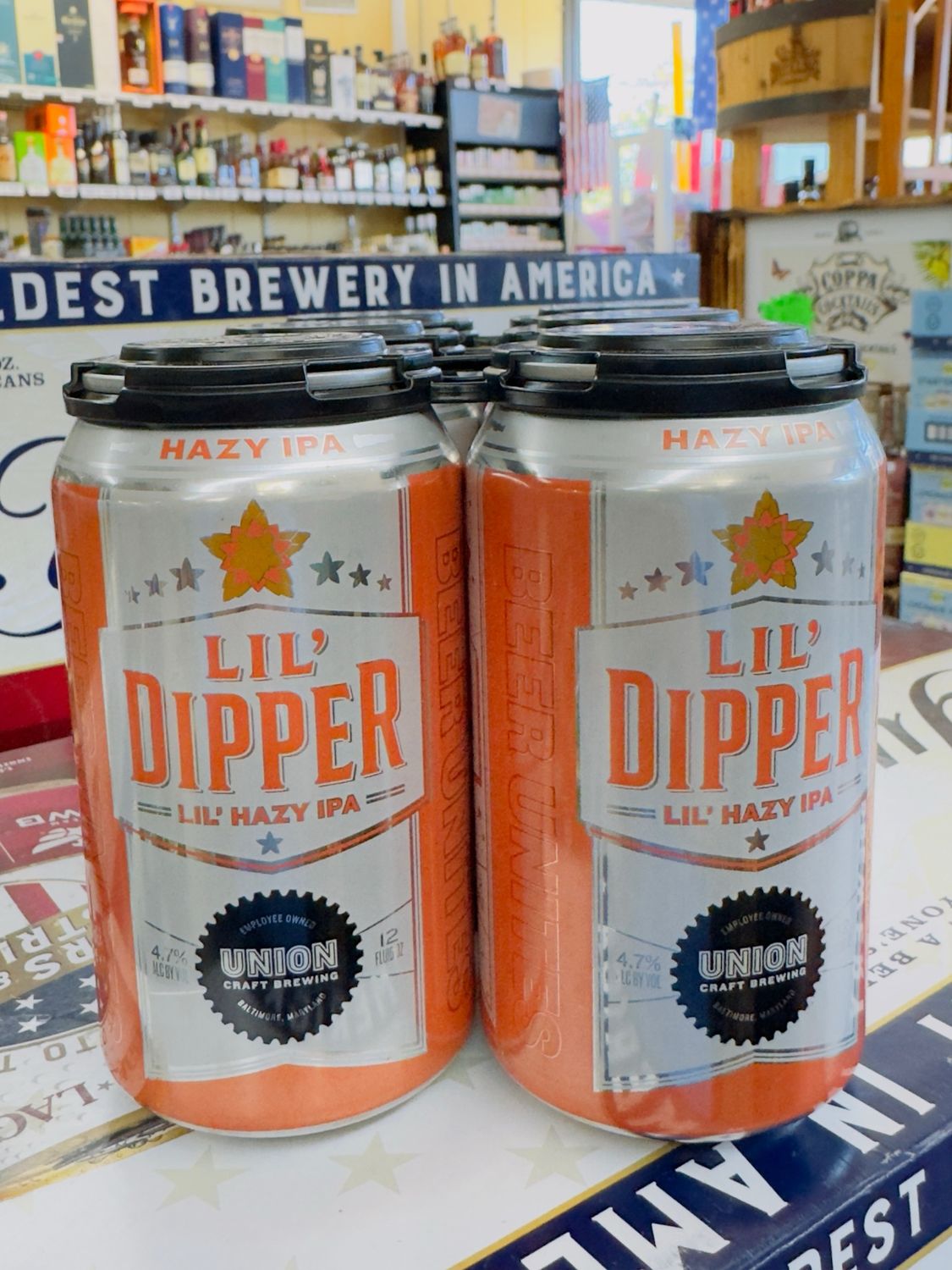 Lil Dipper 6 Pk CN IPA