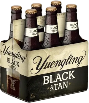 Yuengling Black&amp;Tan 6pk BTL