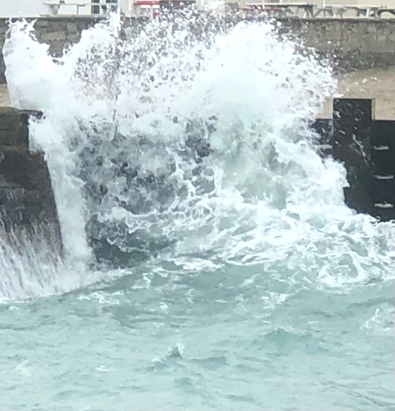 The Fresh Harbour Canvas Multi Sizes