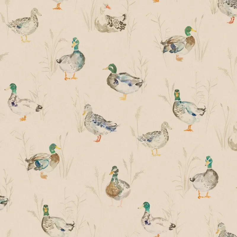 Paddling Ducks 1.4m Wide Width Wallpaper (By The Metre) Cream