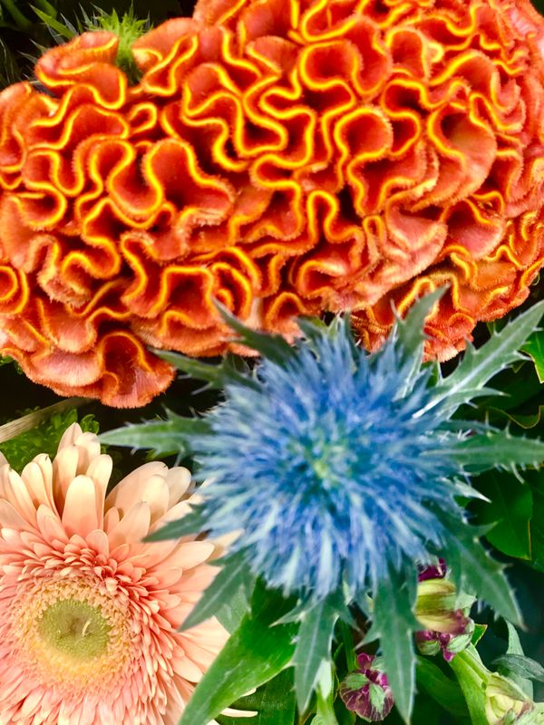 The Flower Canvas Multi Sizes