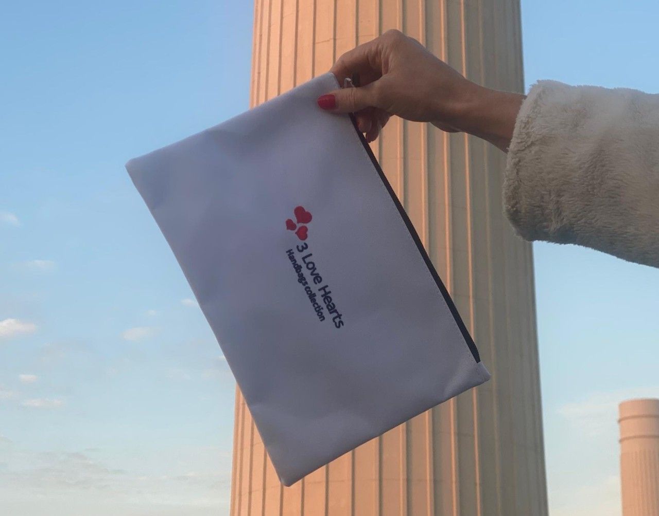 THE TOONE MAKEUP CLUTCH
