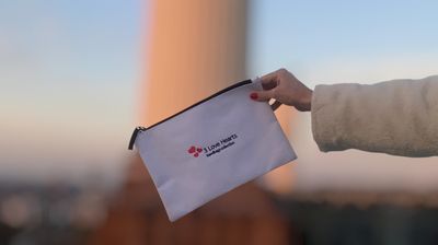 THE TOONE MAKEUP CLUTCH