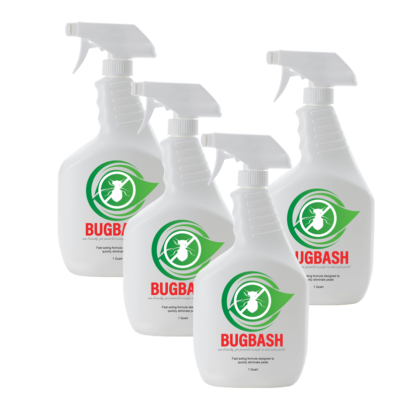 4 - 1 QUART CASE BUGBASH