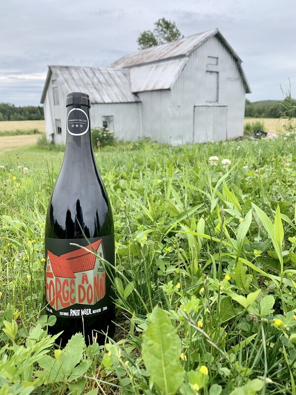 La Forge à Donat - vin rouge Pinot Noir