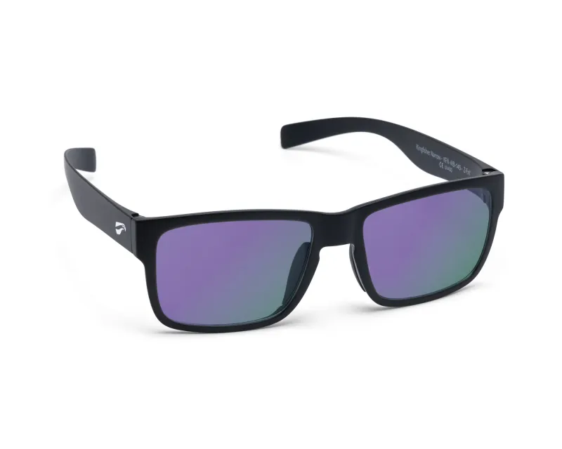 Kingfisher Kingfisher