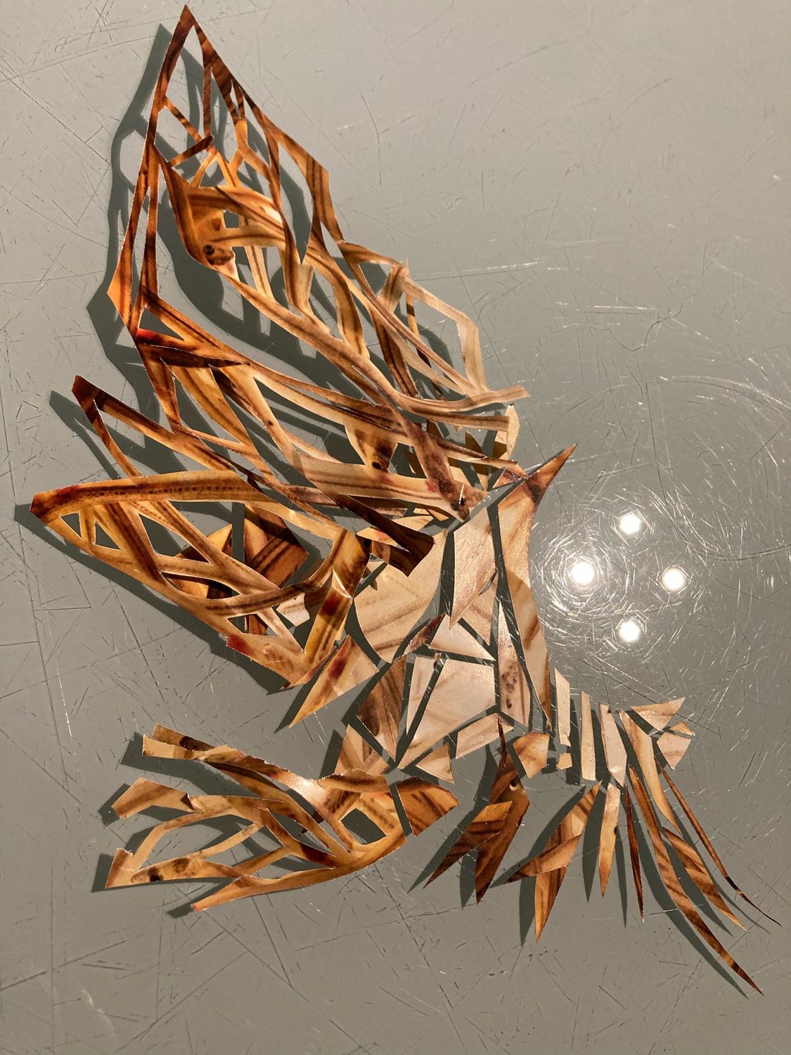 ICARUS