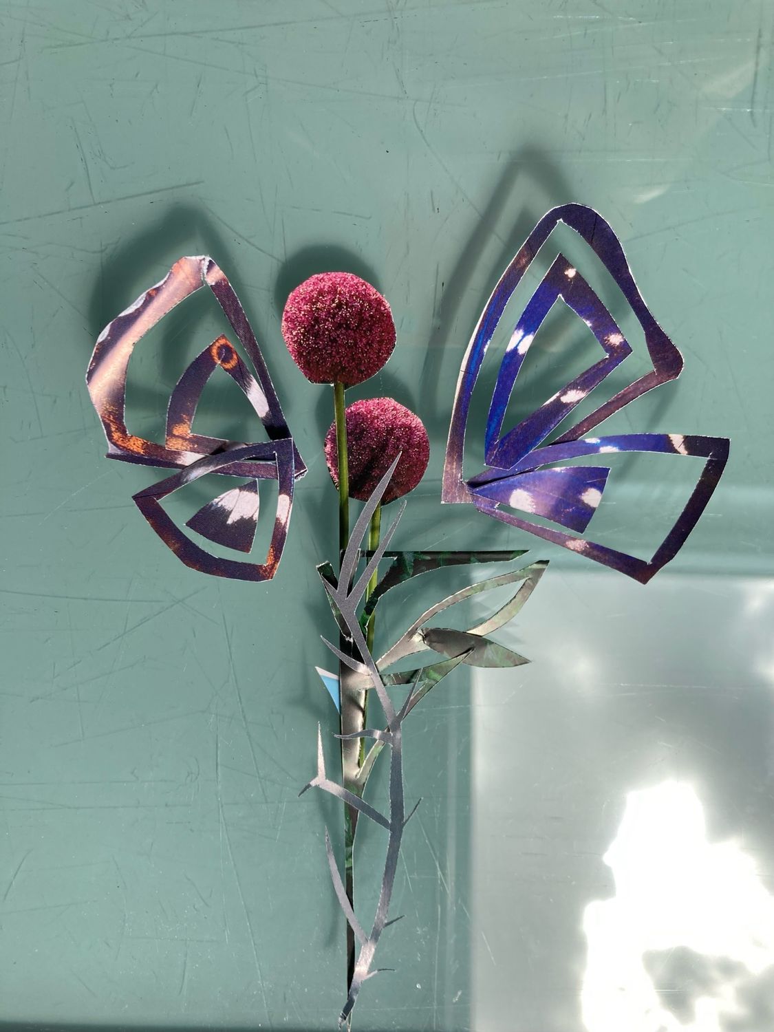 BUTTERFLY