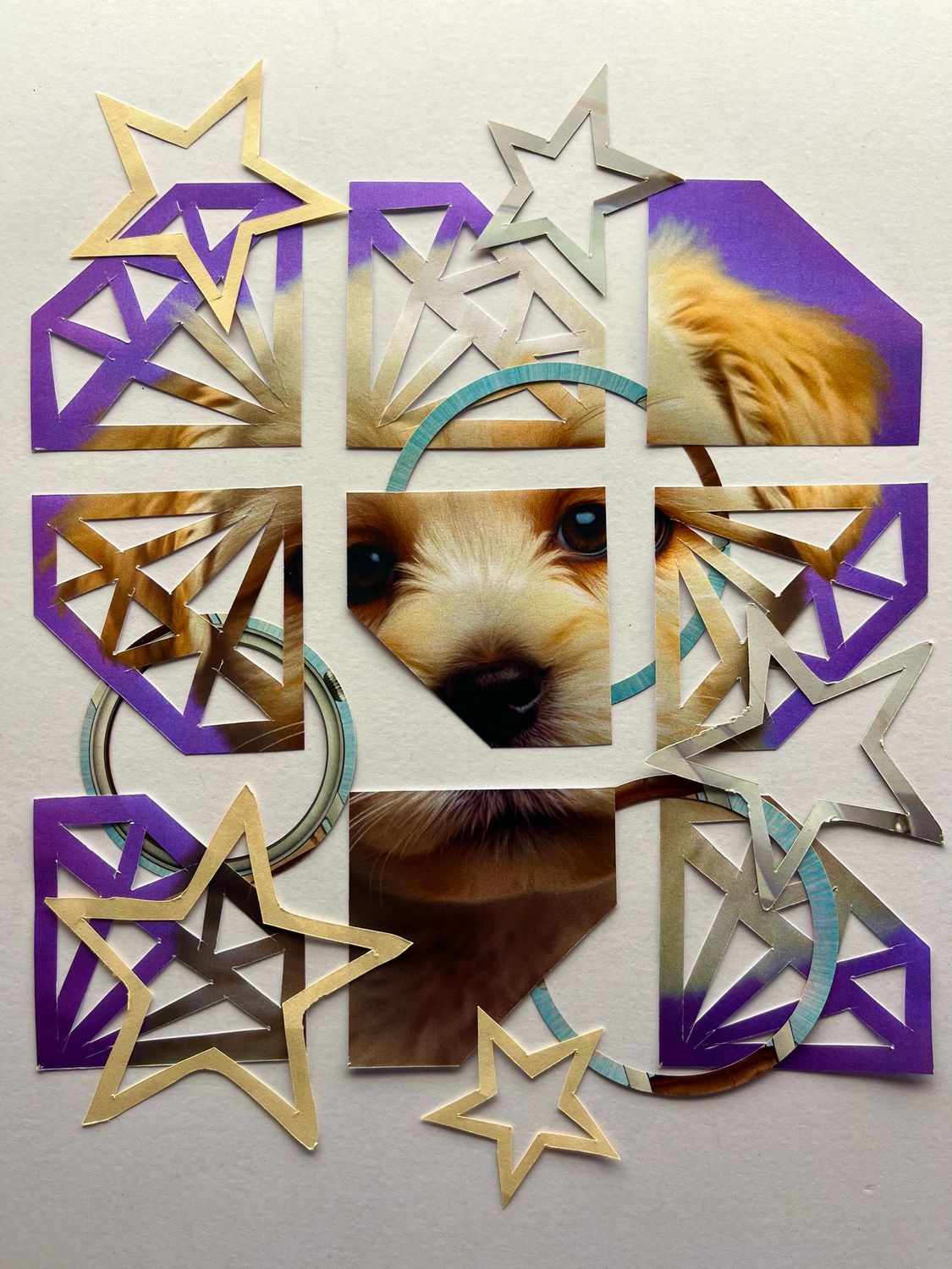 Diamond Puppy