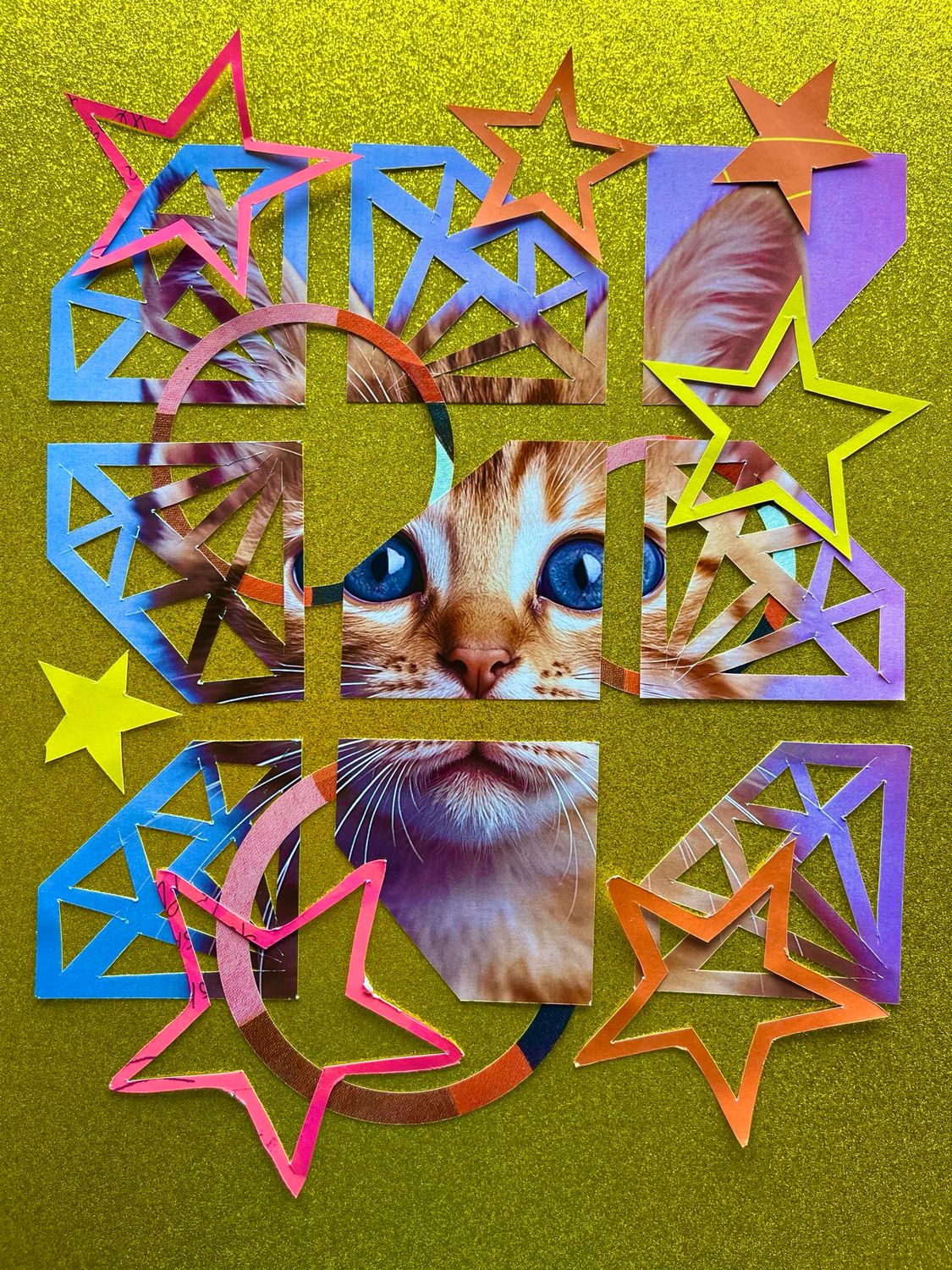 Diamond Kitten
