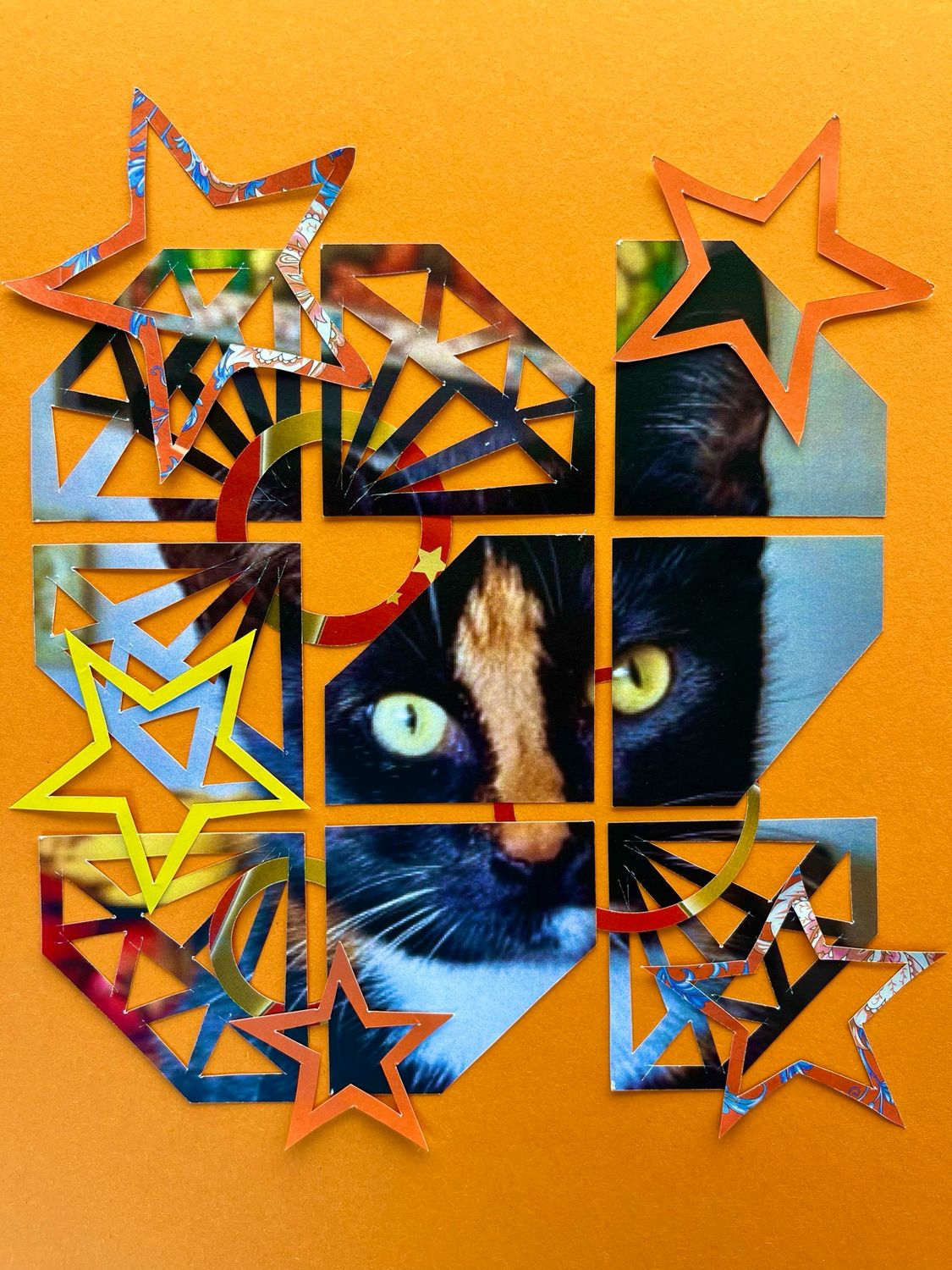 Diamond Cat