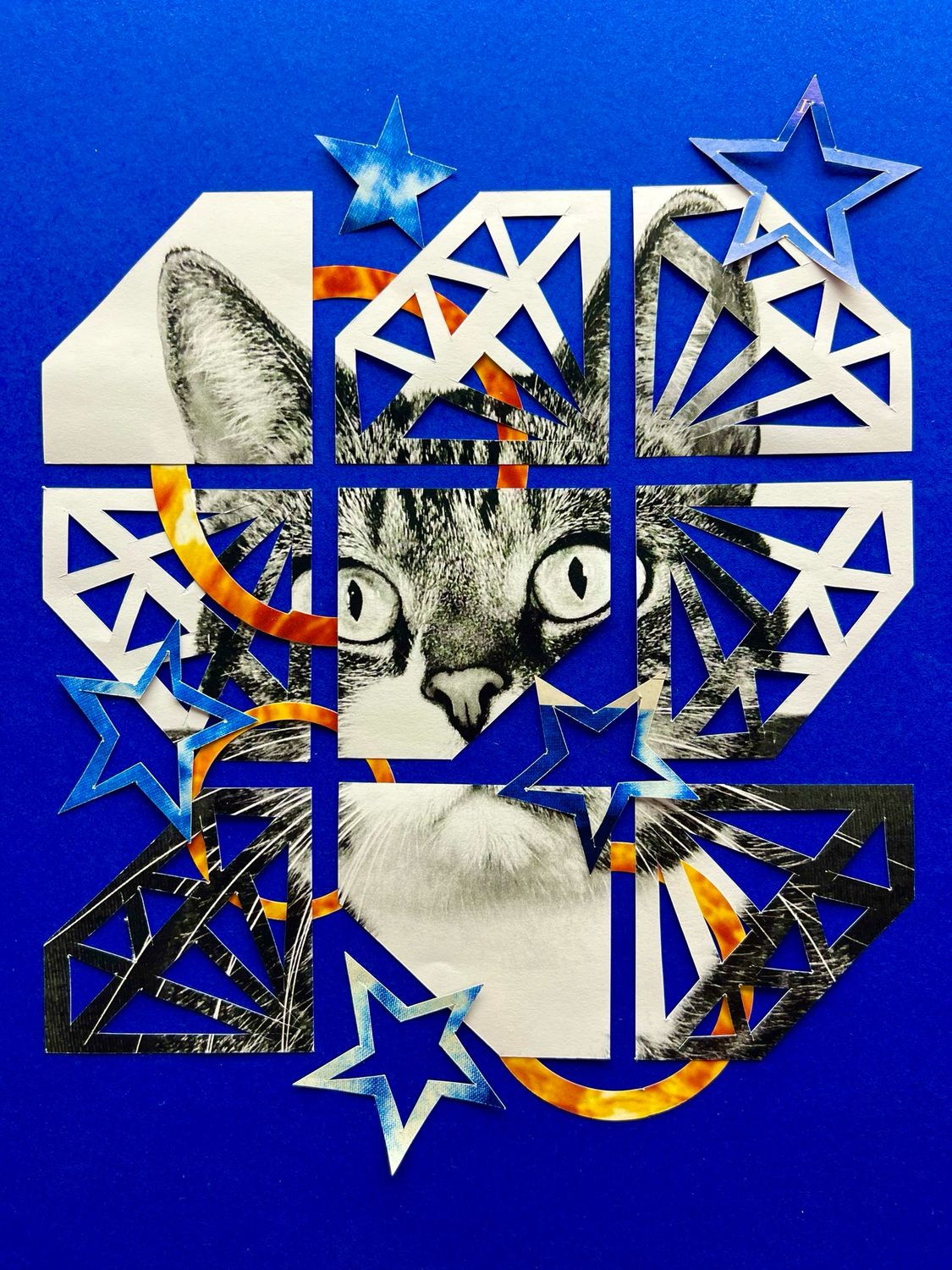 Tommy Cat