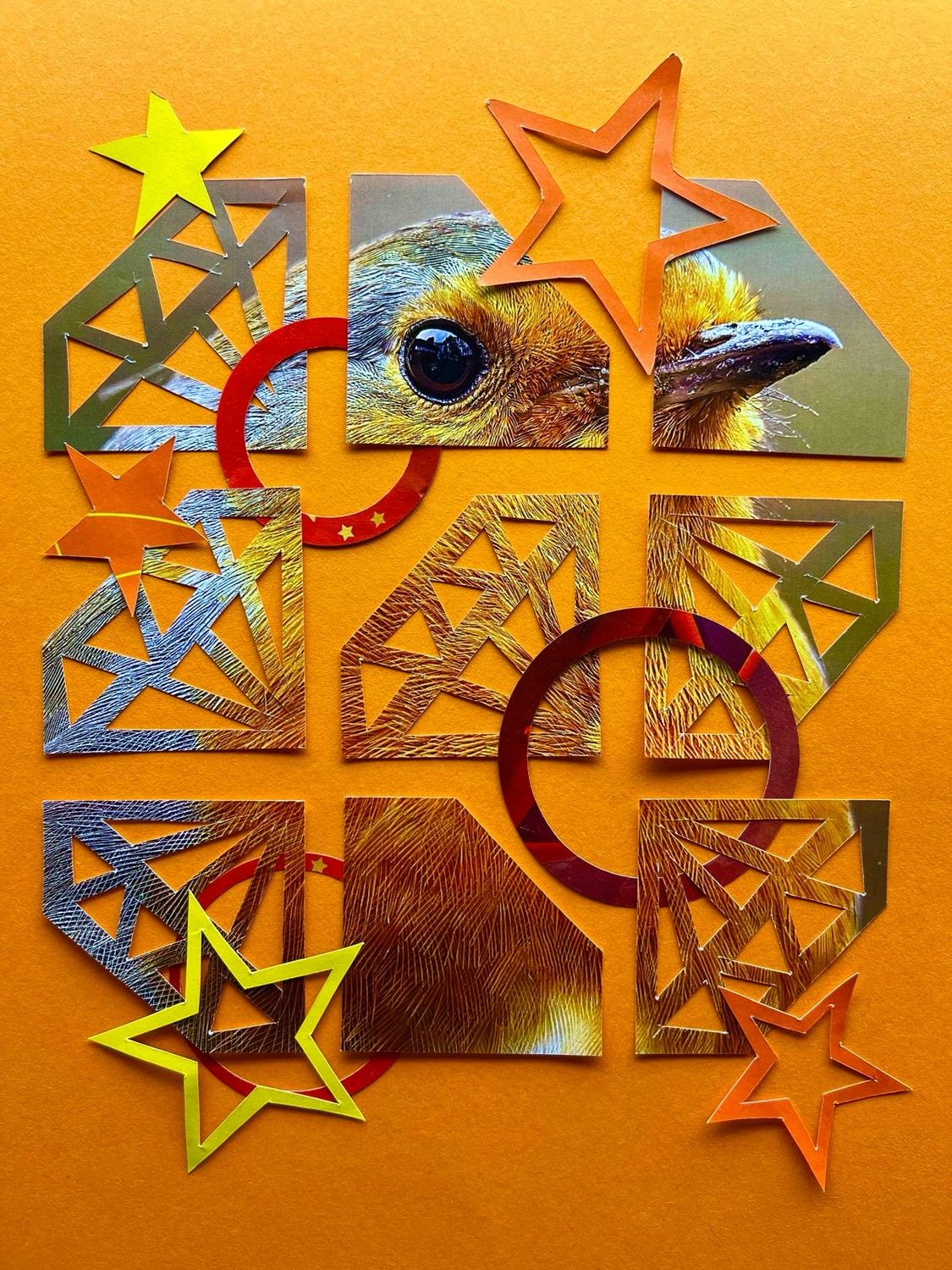 Diamond Robin Orange