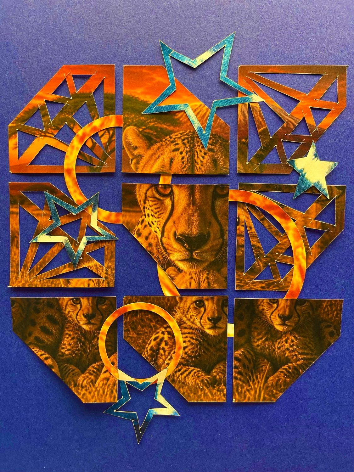 Diamond Cheeta