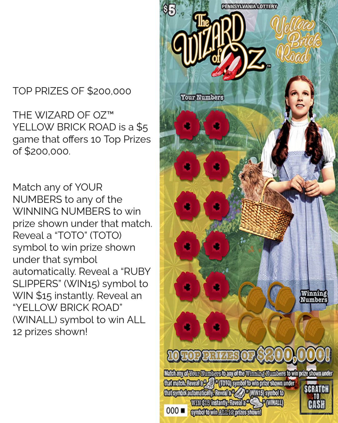 08.16.26 Complete Book of THE WIZARD OF OZ™ YELLOW BRICK ROAD (PA-1799)