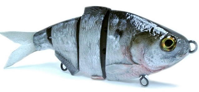 Fish 30Acres Dirty Shad, Color: Dirty Gizzard