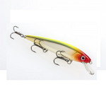 Hard Jerk Baits