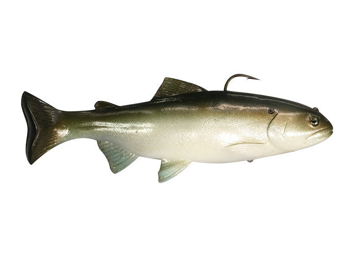Huddleston 10&quot; Trout