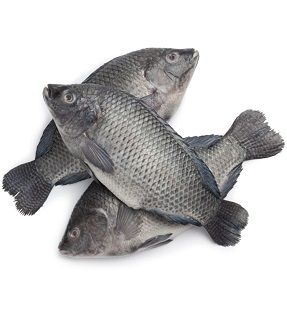 Poisson carpe surgélé - Le carton de 10kg