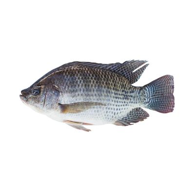 Poisson carpe surgélé - 1kg