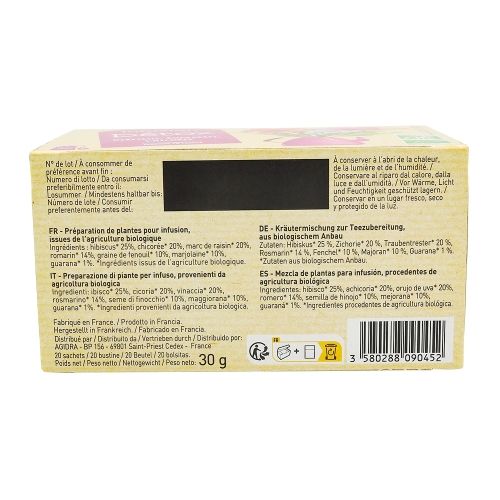 Infusion detox BIO boîte 20 sachets