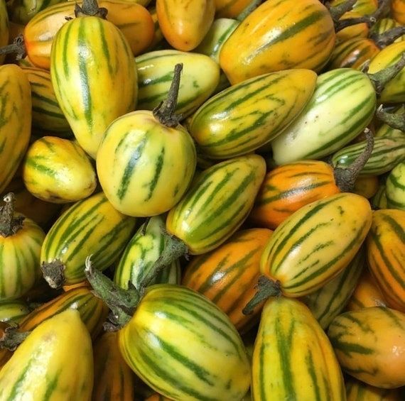 Aubergine petit petit (500G)