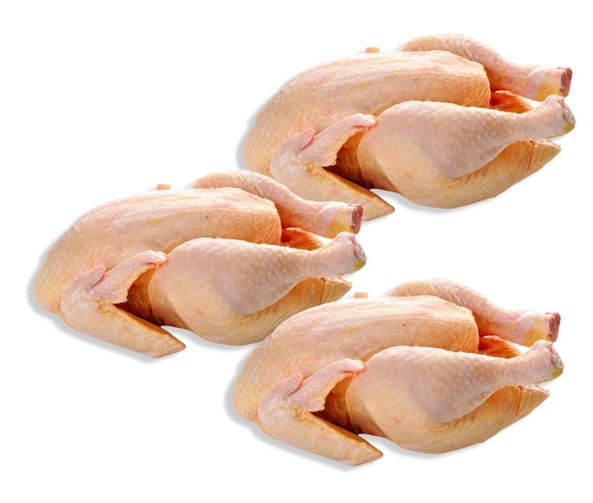 3 poulets de chairs