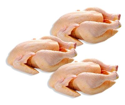 3 poulets de chairs