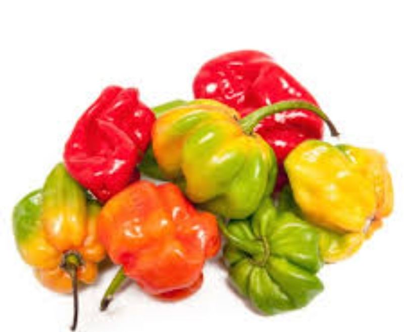 Piment frais (100g)